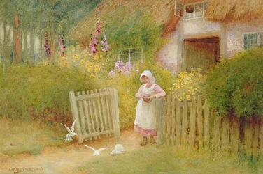 Feeding the Doves